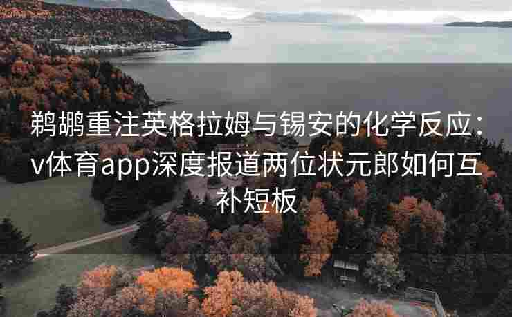 鹈鹕重注英格拉姆与锡安的化学反应：v体育app深度报道两位状元郎如何互补短板
